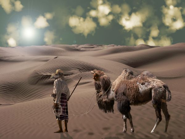 Creation of Parallel Camel Universe: Final Result